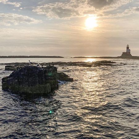 Dipper Cottage Seahouses Extérieur photo