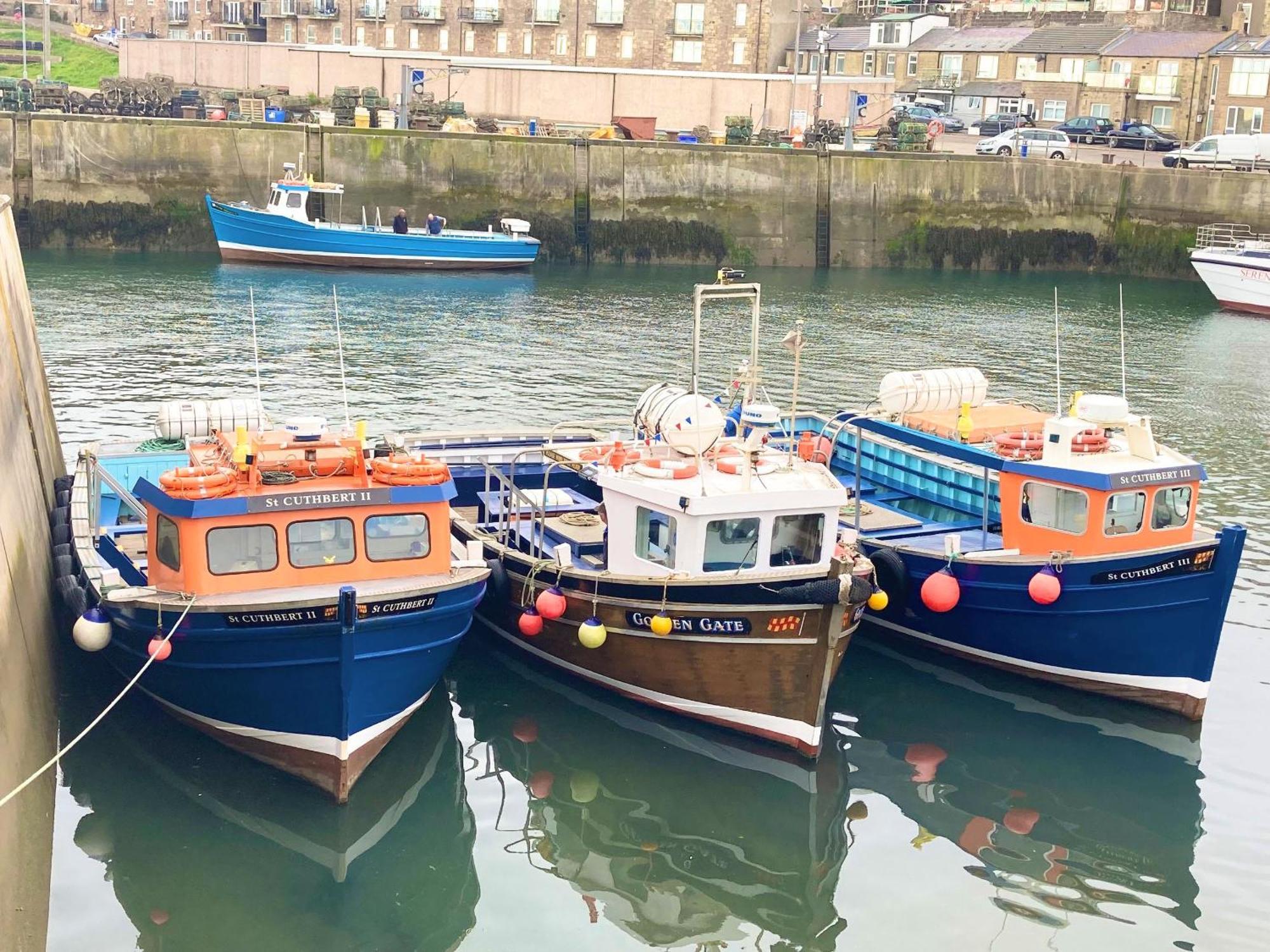 Dipper Cottage Seahouses Extérieur photo